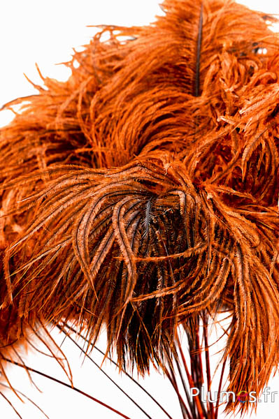 Rispe Strauß - 35-40 cm - aztekengold-naturgrau